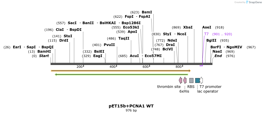 117551_map