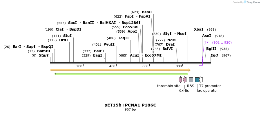 117554_map