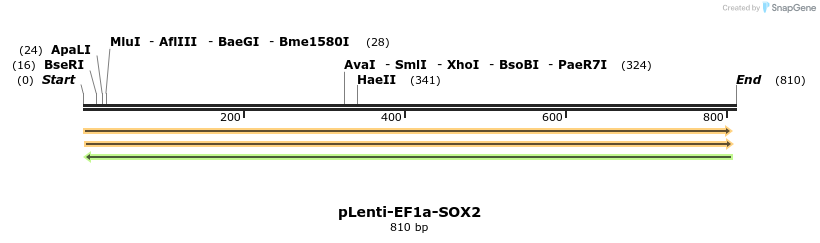 117557_map