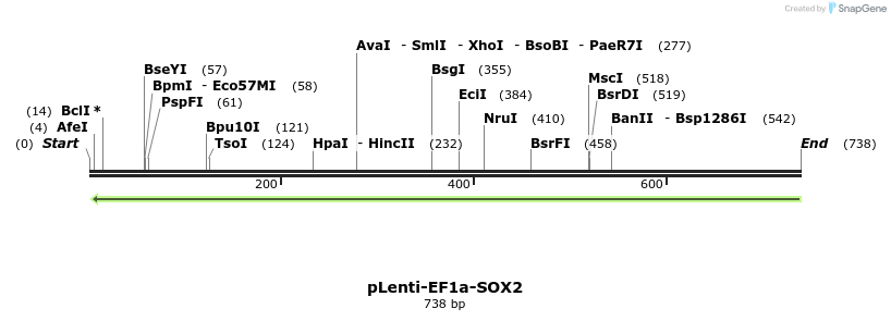 117558_map