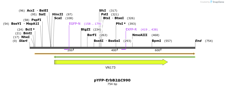 117559_map