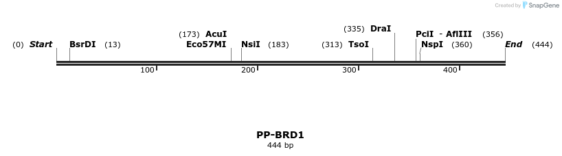 11756_map