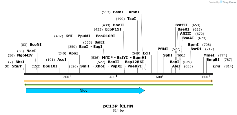 117560_map