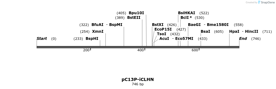 117563_map