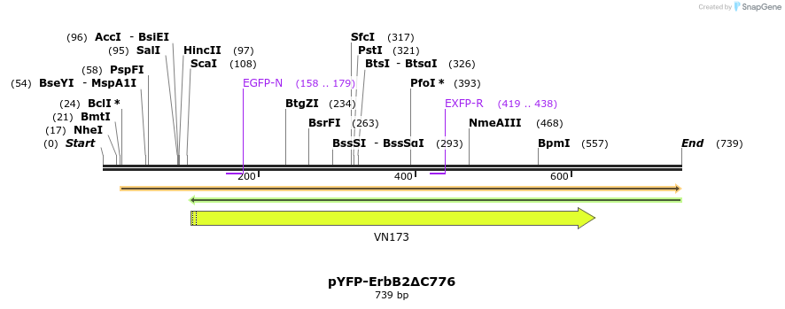 117564_map