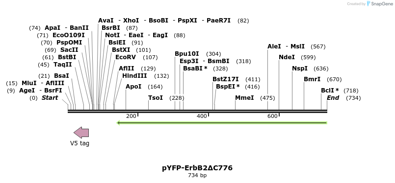 117565_map