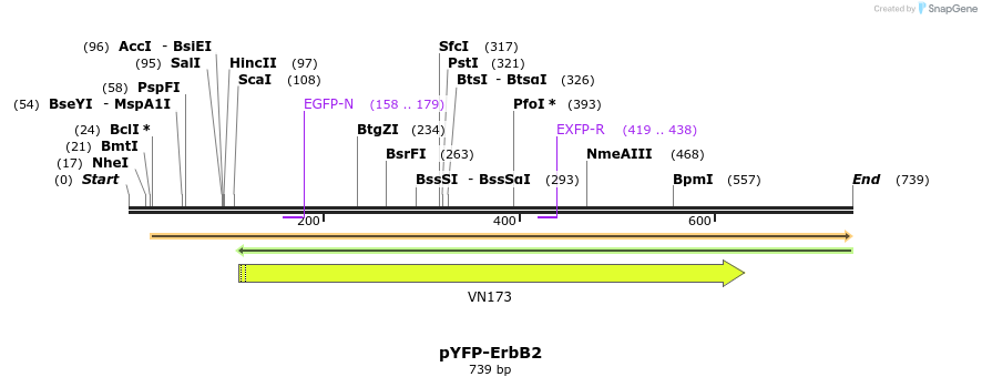 117566_map