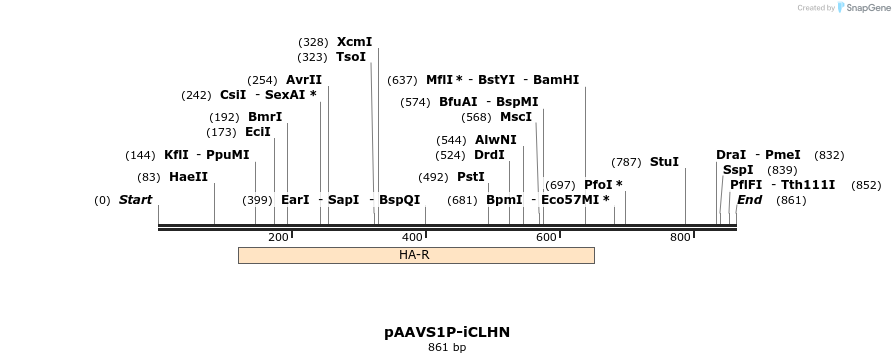 117568_map