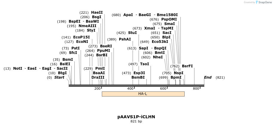 117571_map