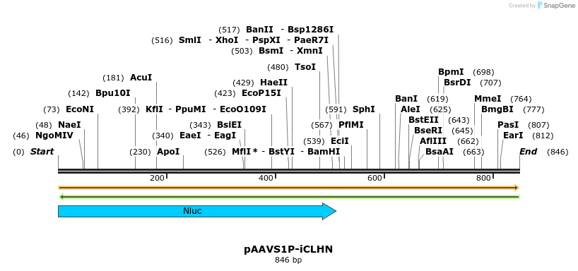 117572_map