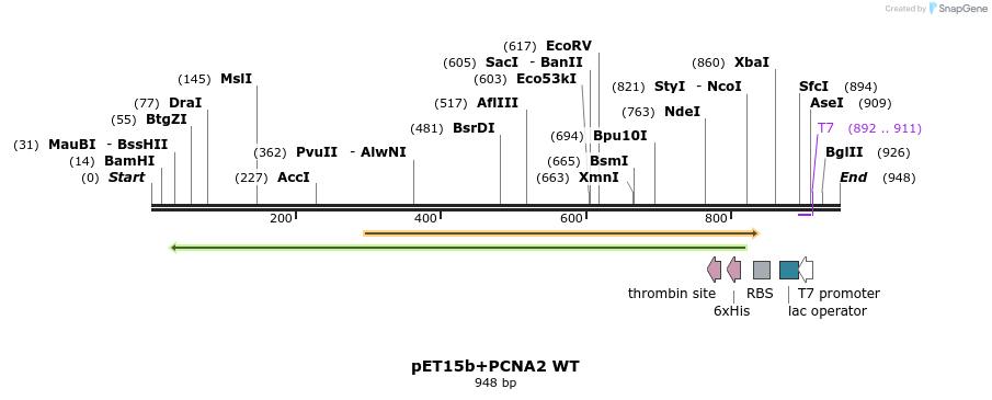 117575_map