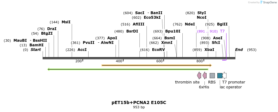 117576_map