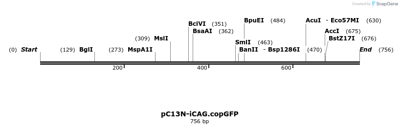 117577_map