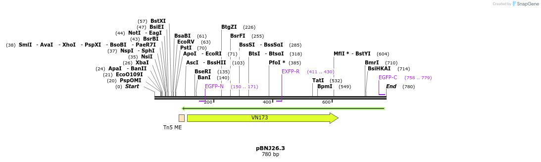117578_map