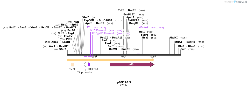 117579_map