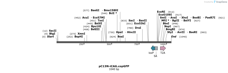 117580_map