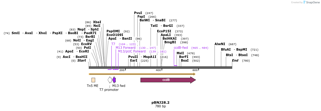 117581_map