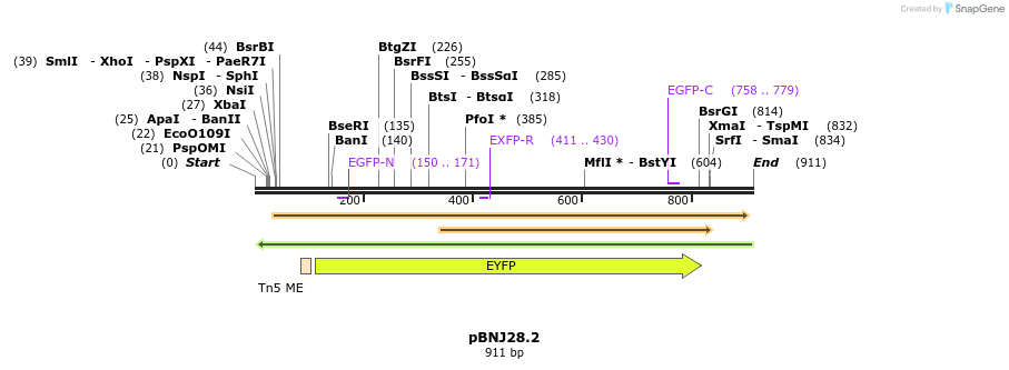 117584_map