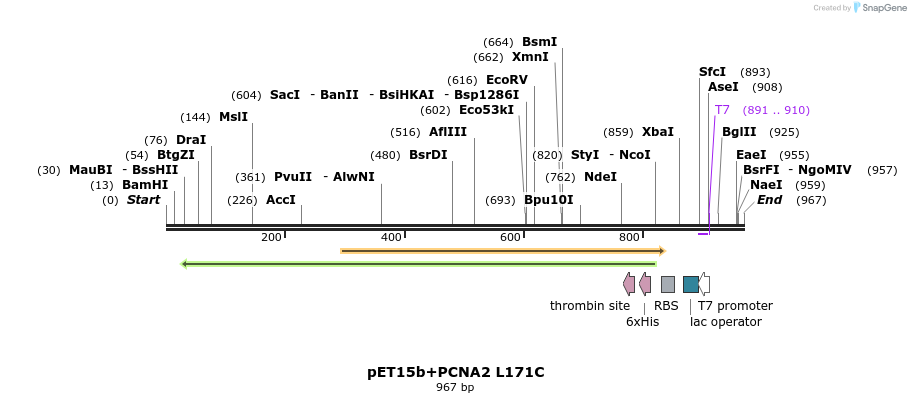 117586_map