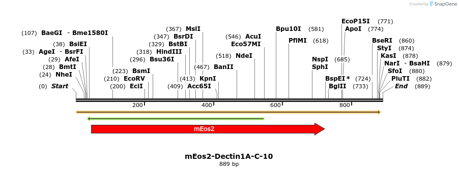 117588_map