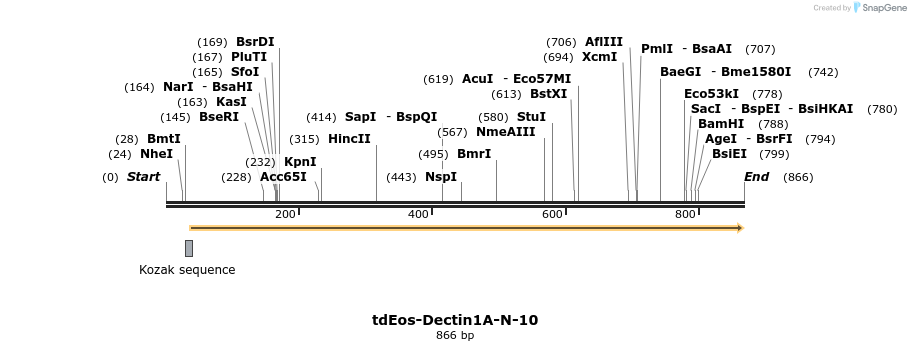 117590_map
