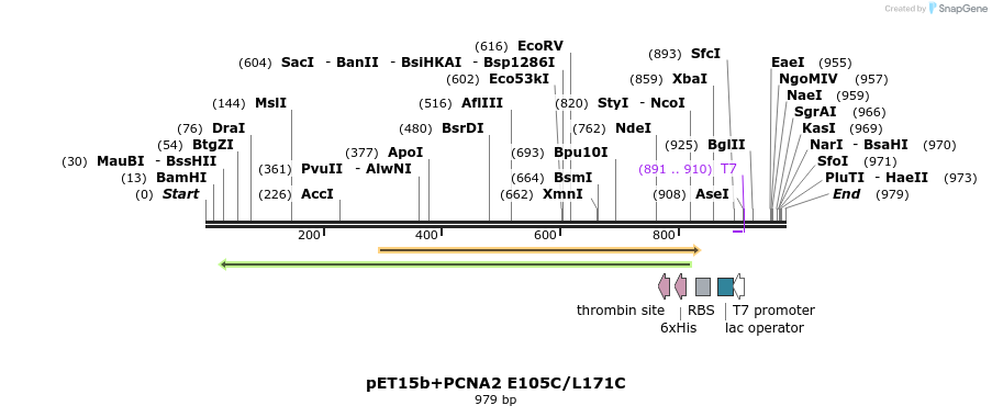117591_map