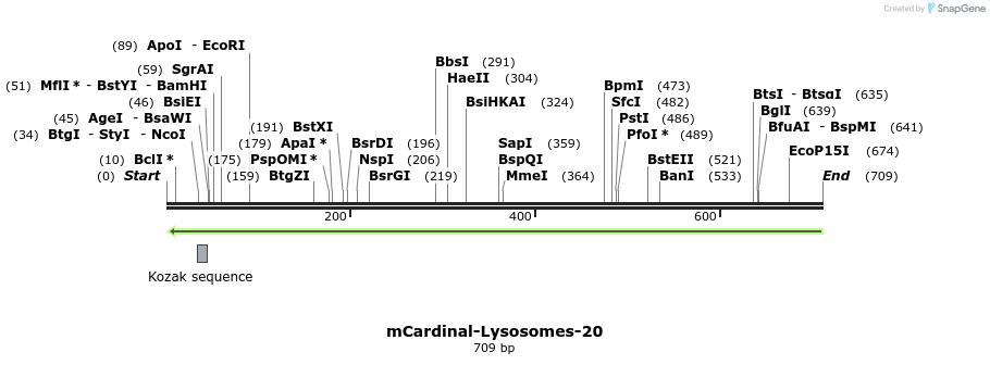 117593_map