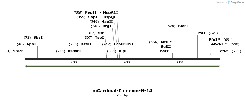 117594_map