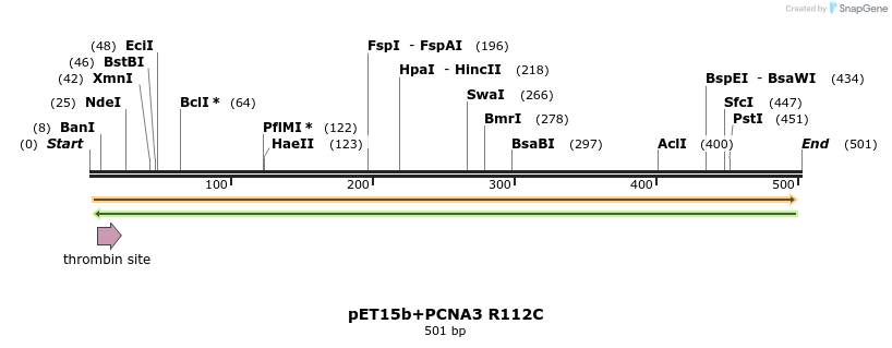 117597_map