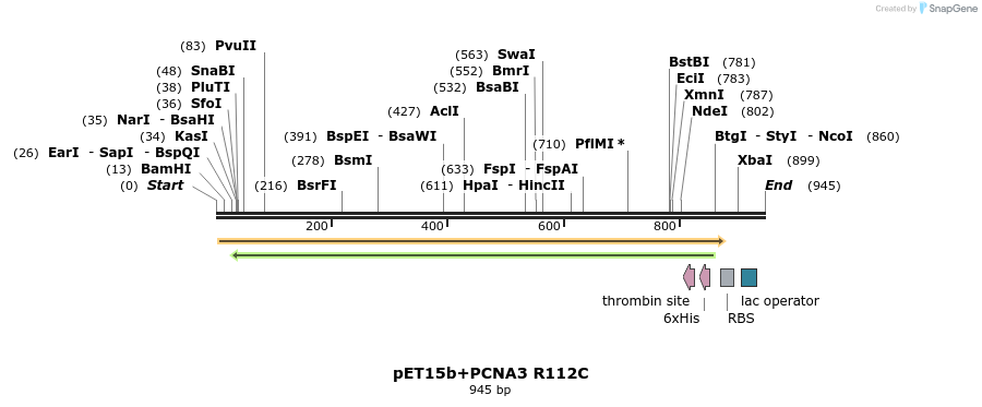 117598_map