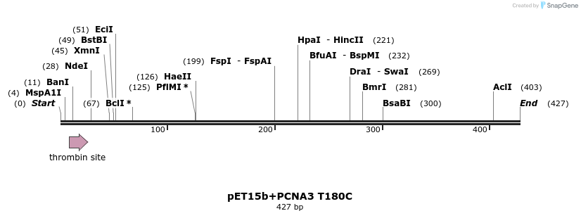 117603_map