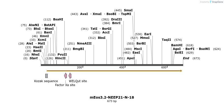 117604_map