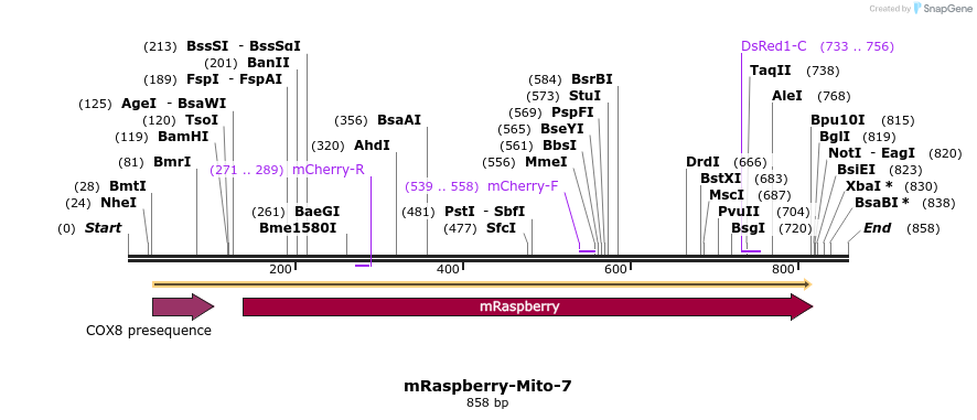 117605_map