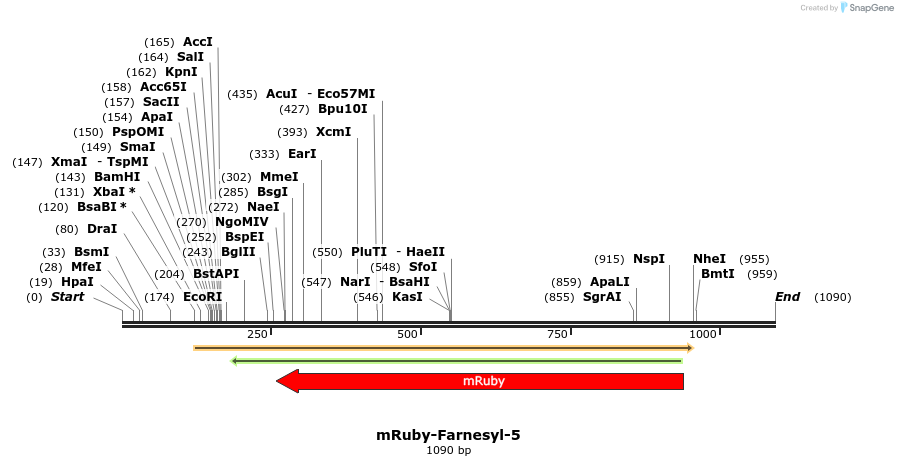 117606_map