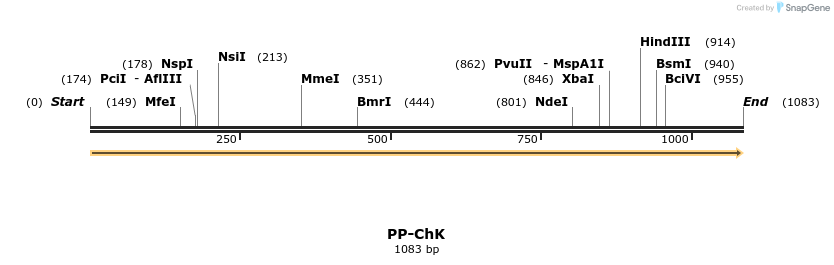 11761_map