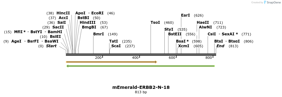 117611_map