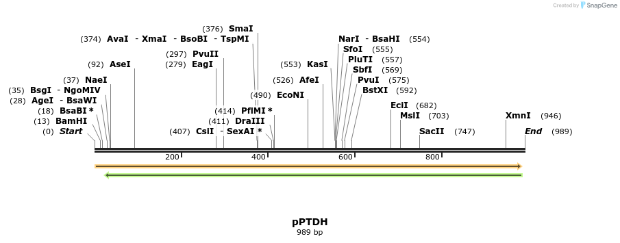 117613_map