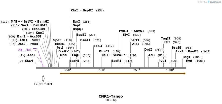 117619_map