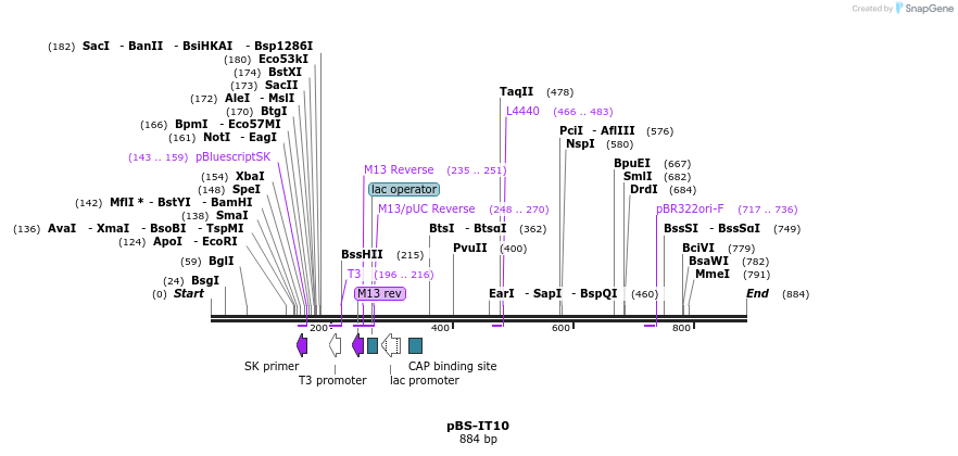 117621_map