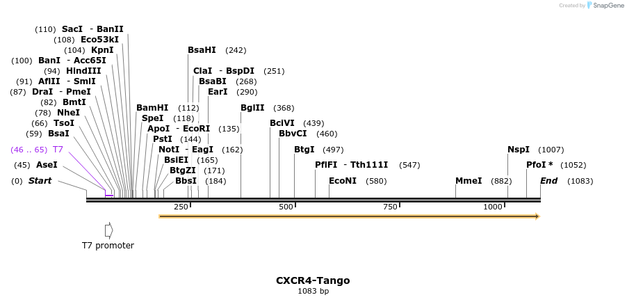 117627_map