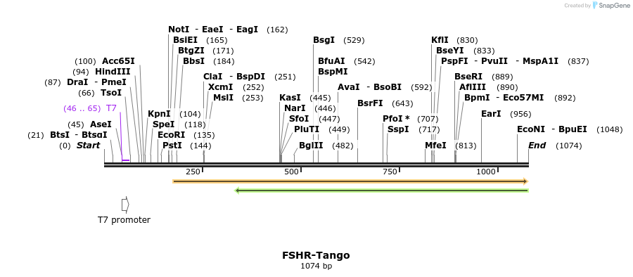 117630_map