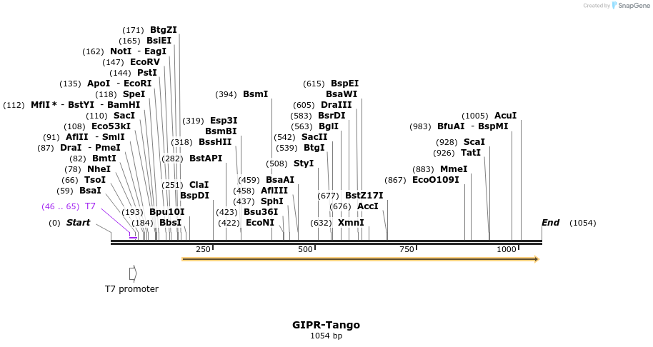 117631_map