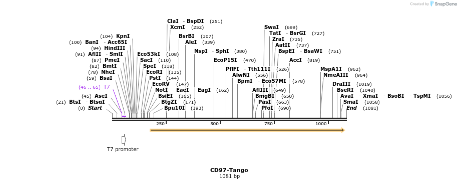 117637_map