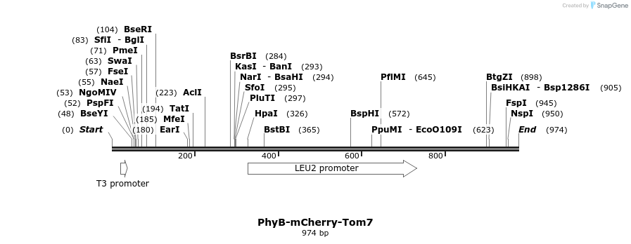 117644_map