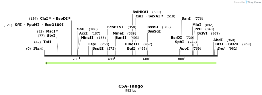 117647_map