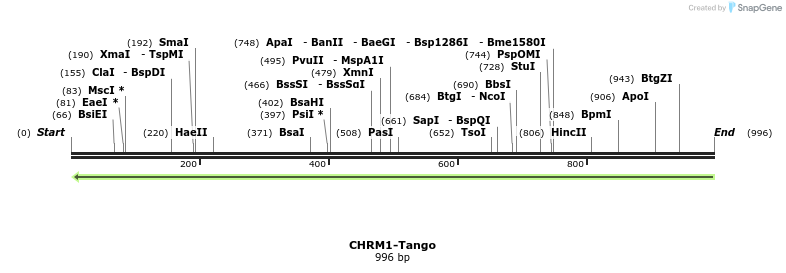 117649_map