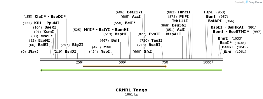 117651_map