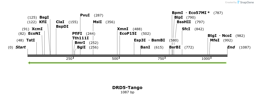 117654_map