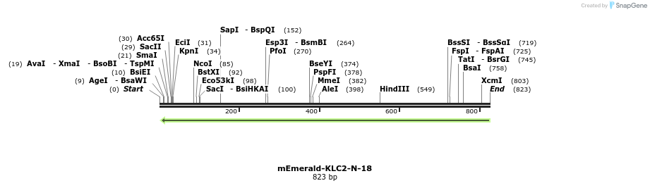 117655_map