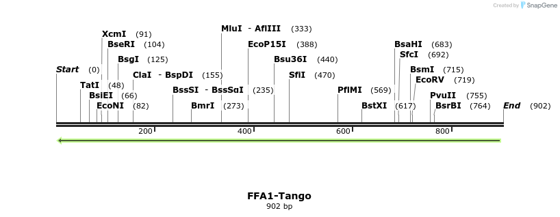 117656_map